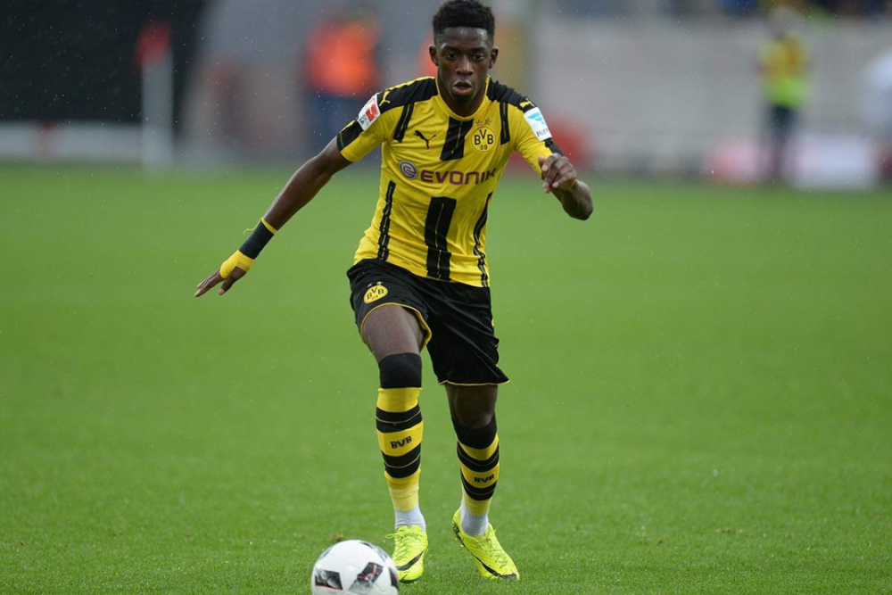 独辟蹊径 独辟蹊径